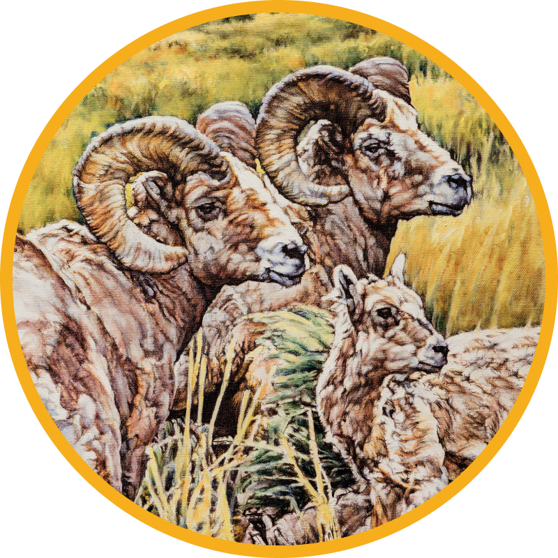 Painting of Lambs