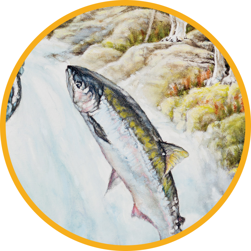 Painting of Salmon