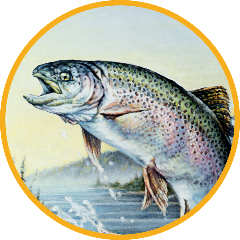 Painting of Trout
