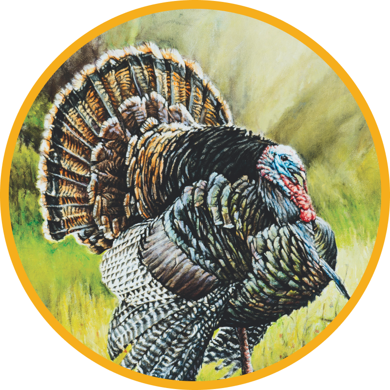 Painting of Turkey