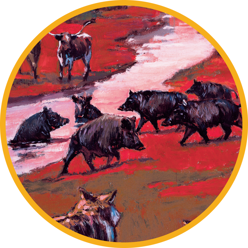 Painting of Wild Boar